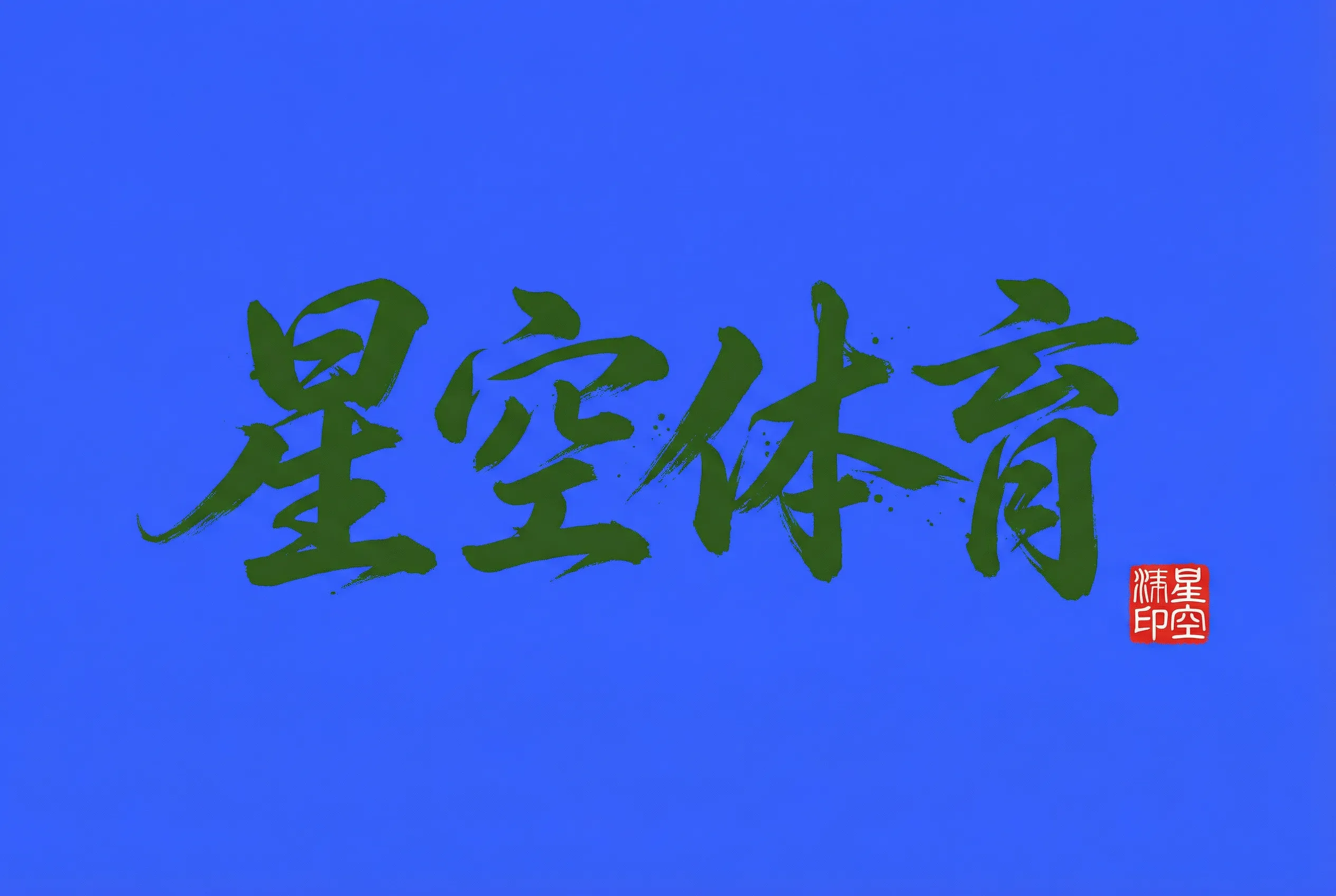 星空棋牌官方标志